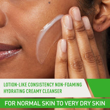 Load image into Gallery viewer, Hydrating Facial Cleanser